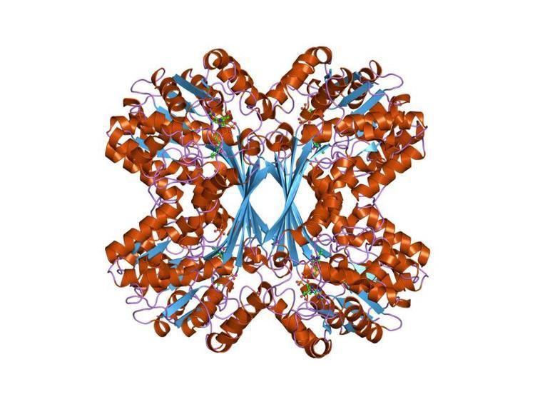 Inositol-3-phosphate synthase