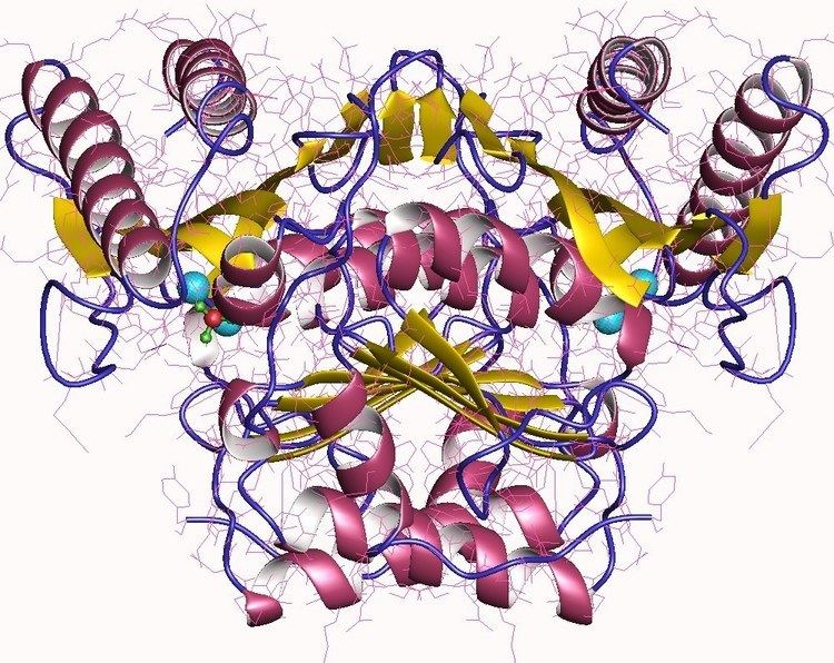 Inositol-phosphate phosphatase
