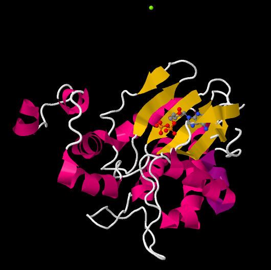 Inositol-trisphosphate 3-kinase
