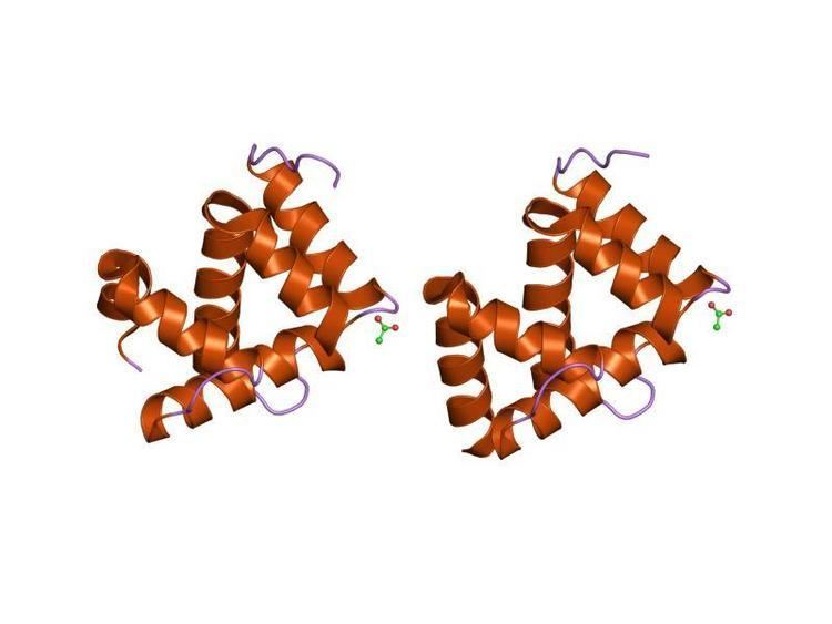 Insect pheromone-binding protein