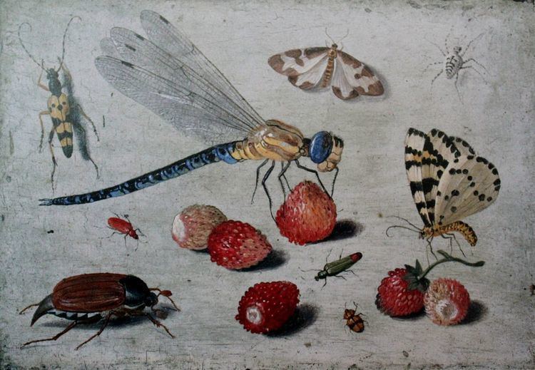 Insects in art