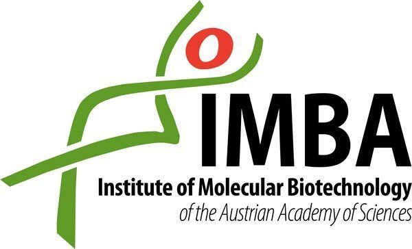 Institute of Molecular Biotechnology