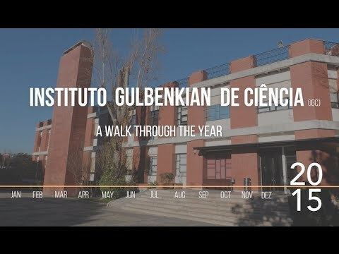 Instituto Gulbenkian de Ciência Instituto Gulbenkian de Cincia a walk through 2015 YouTube