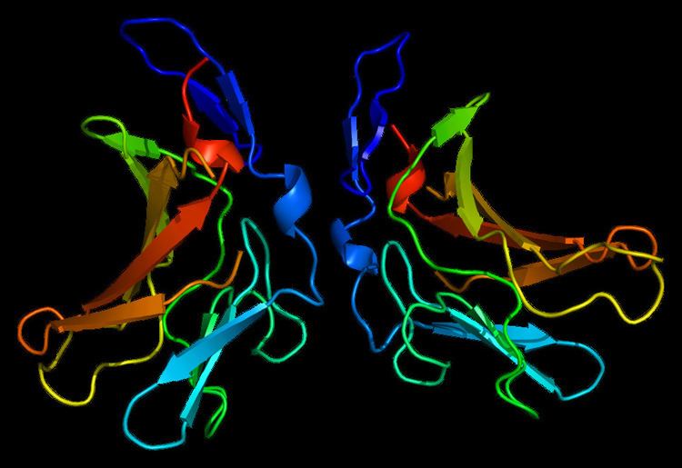 Insulin-like growth factor 2 receptor