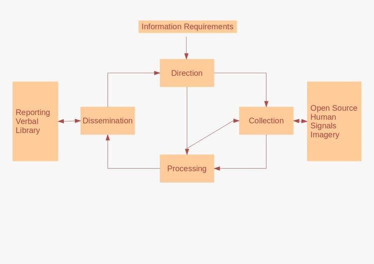 Intelligence assessment