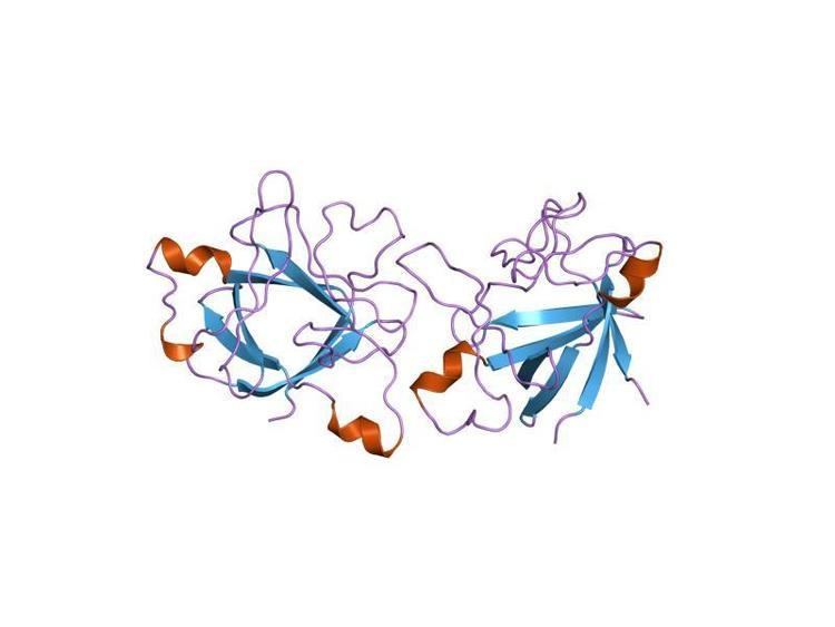 Interleukin 1 receptor antagonist