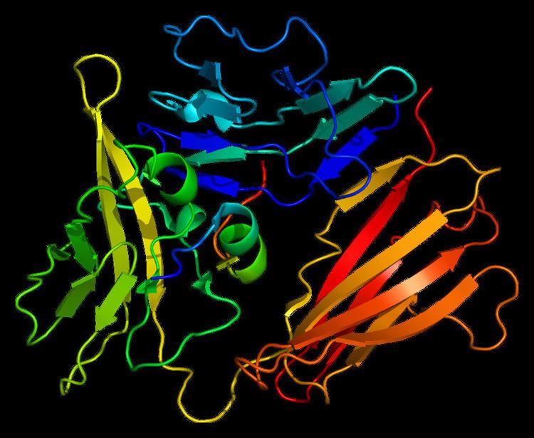 Interleukin 1 receptor, type I