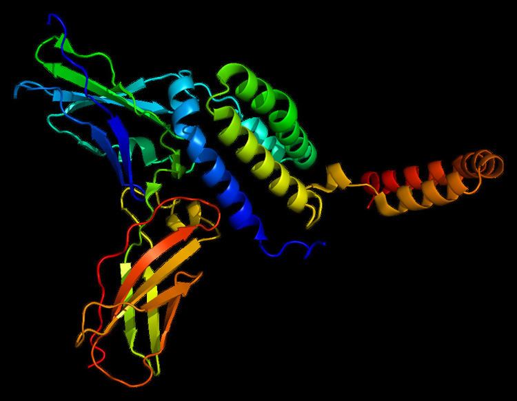 Interleukin 10 receptor, alpha subunit