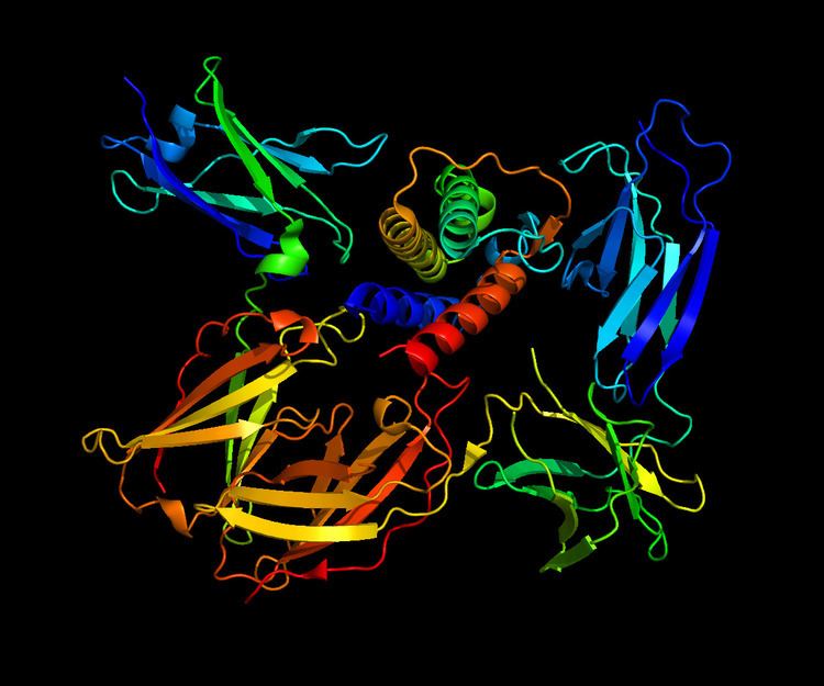 Interleukin 13 receptor, alpha 1