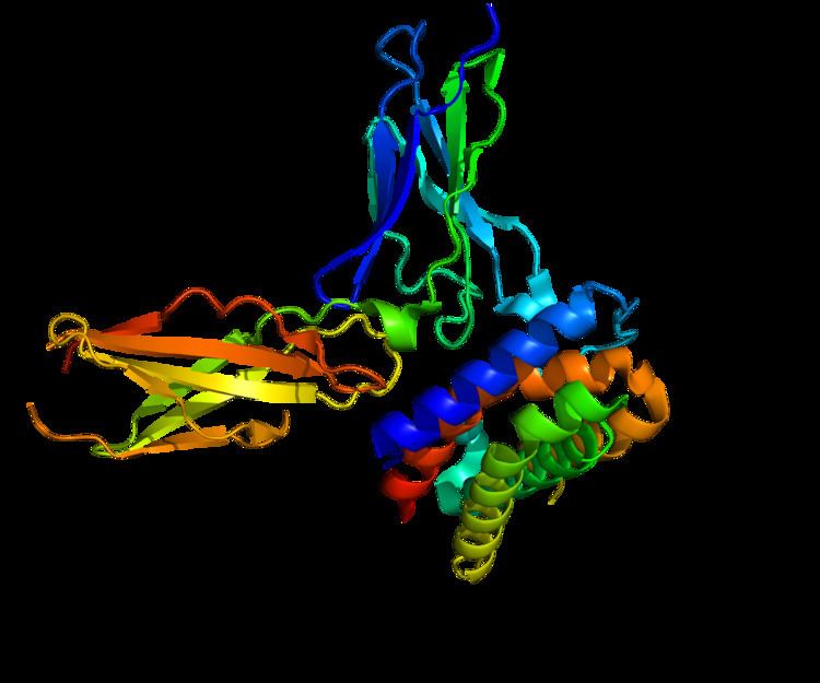 Interleukin 28 receptor, alpha subunit
