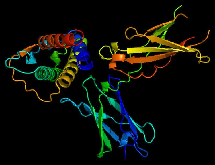 Interleukin-4 receptor