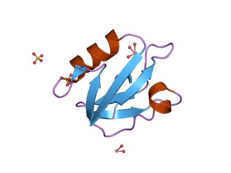 Interleukin 5 receptor alpha subunit