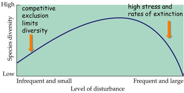 Intermediate Disturbance Hypothesis 1814jpg