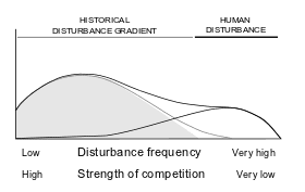 Intermediate Disturbance Hypothesis The intermediate disturbance hypothesis and plant invasions