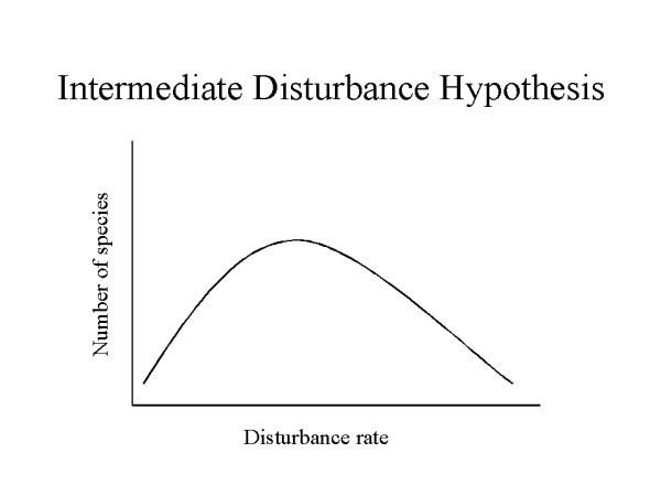 Intermediate Disturbance Hypothesis Intermediate Disturbance Hypothesis