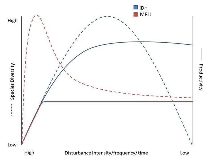 Intermediate Disturbance Hypothesis IDH MRH WTF BioDiverse Perspectives