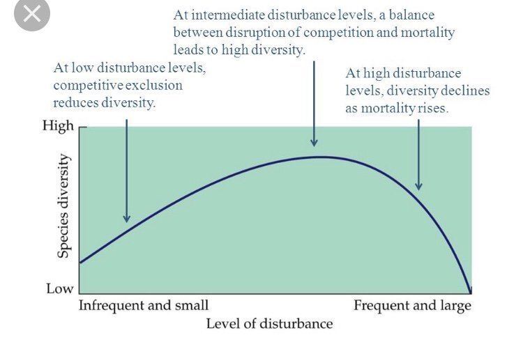 characteristics of intermediate disturbance hypothesis