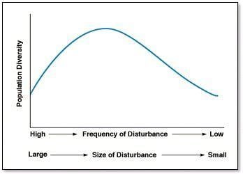 Intermediate Disturbance Hypothesis Ecology Communities Biodiversity