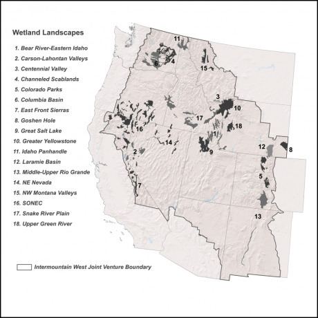 Intermountain West Wetlands in the Intermountain West Intermountain West Joint Venture