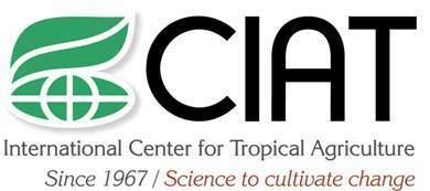 International Center for Tropical Agriculture dapaciatcgiarorgwpcontentuploads201301ima