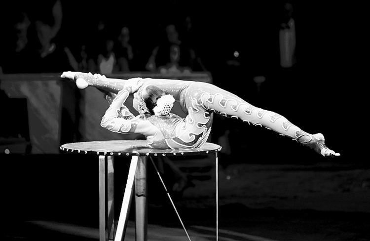 International Circus Festival of Monte-Carlo