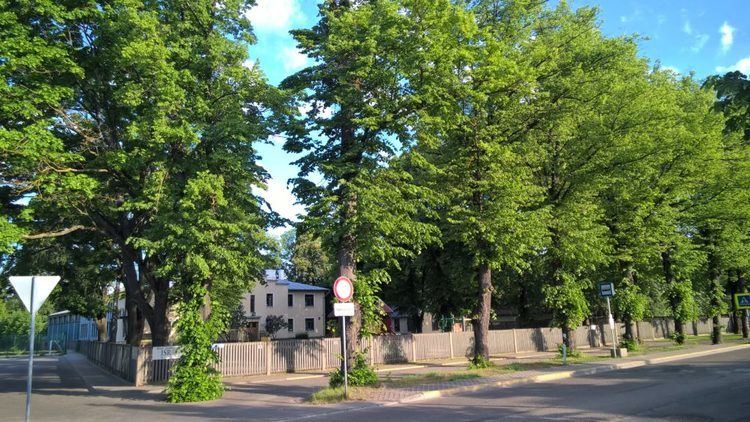 International School of Riga