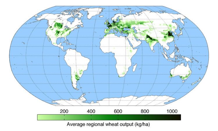 International wheat production statistics