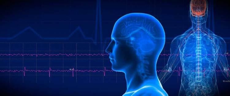 Intraoperative neurophysiological monitoring Synaptic Resources