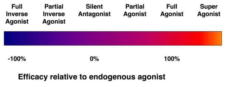 Intrinsic activity