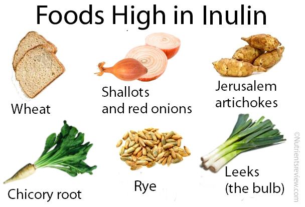 Inulin A Prebiotic Inulin Foods Supplements Benefits Side Effects