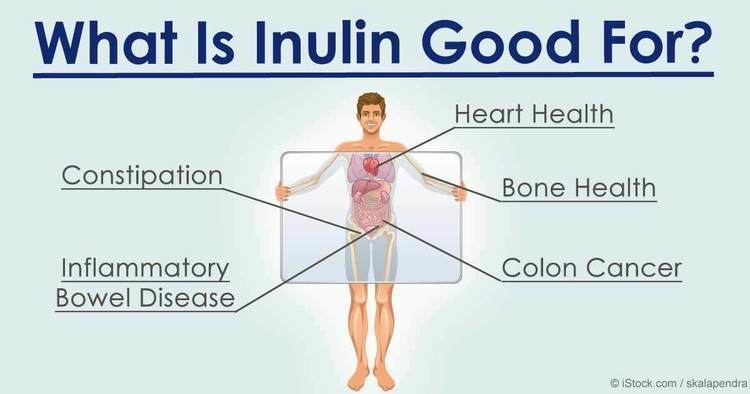 Inulin Health Benefits of Inulin