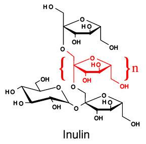 inulin structure