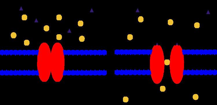 Ion channel linked receptors