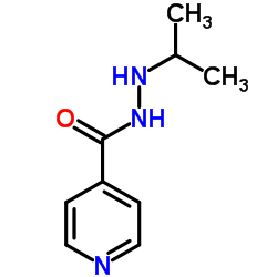 Iproniazid Iproniazid C9H13N3O ChemSpider