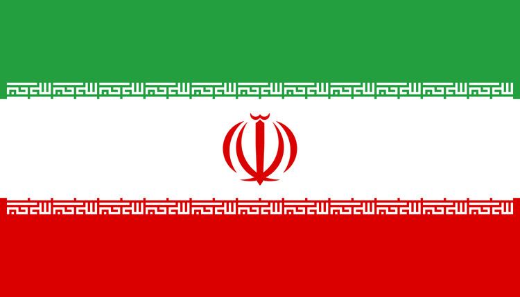Iran at the 2013 World Aquatics Championships