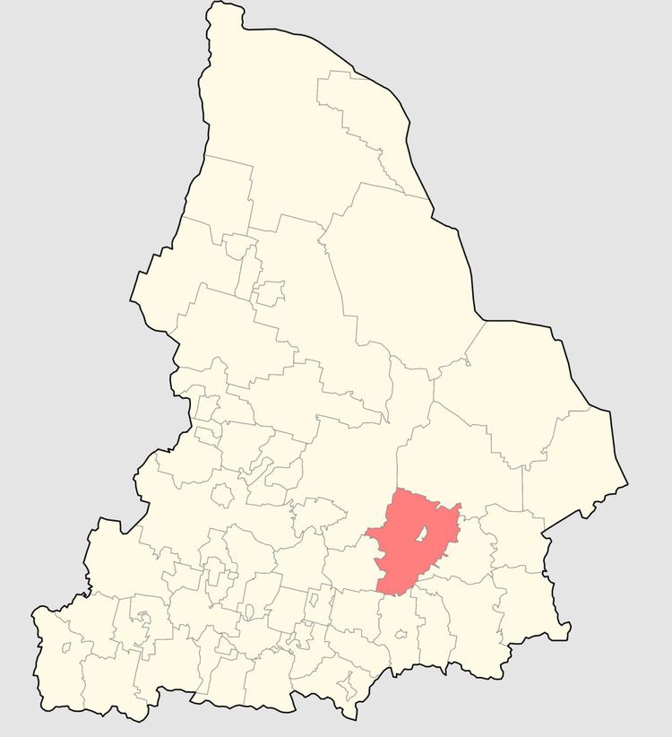 Irbitsky District