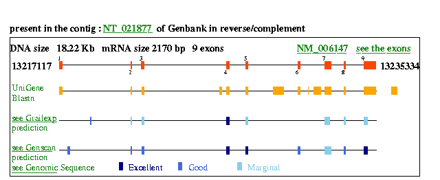 IRF6 Genatlas sheet
