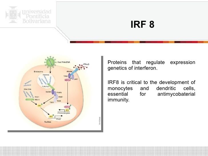 IRF8 IRF8 Mutations and Human DendriticCell Immunodefiency