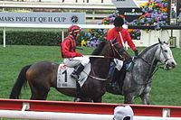 Irian (racehorse) httpsuploadwikimediaorgwikipediacommonsthu