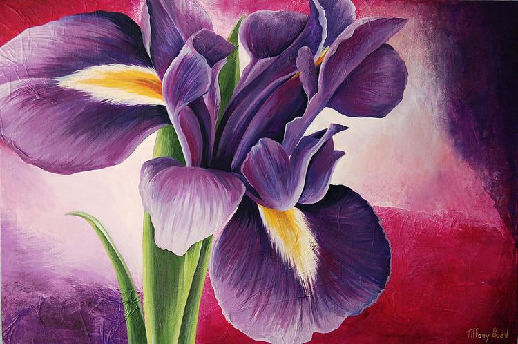 Iris in Bloom Purple Iris In Bloom Painting by Tiffany Budd