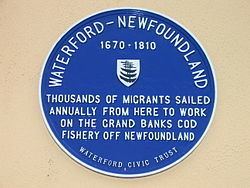 Irish Newfoundlanders httpsuploadwikimediaorgwikipediacommonsthu