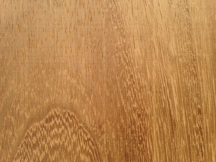 Iroko Iroko Timber Cut to SIze Timbersource Hardwoods