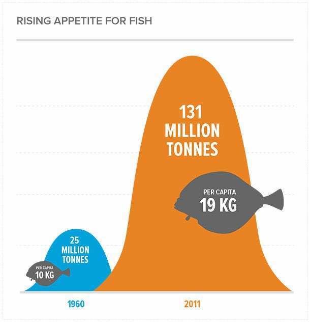 www.entrepreneur.com/dbimages/article/1392141579-this-startup-wants-reverse-tide-overfished-oceans.jpg