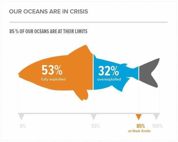 www.entrepreneur.com/dbimages/article/1392141595-this-startup-wants-reverse-tide-overfished-oceans.jpg