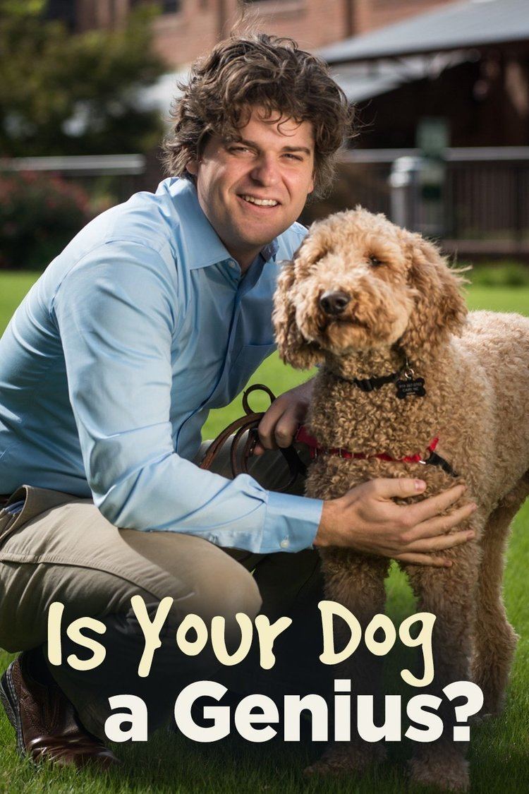 Is Your Dog A Genius? wwwgstaticcomtvthumbtvbanners11693553p11693