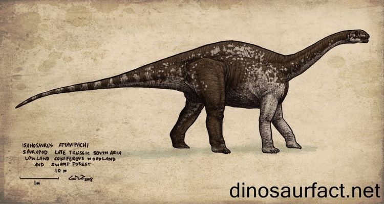 Isanosaurus Isanosaurus dinosaur
