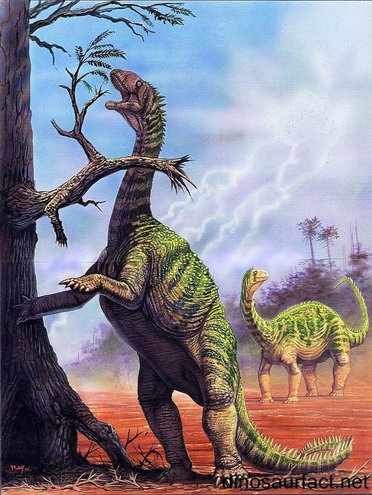 Isanosaurus wwwdinosaurfactnetPicturesIsanosaurus2jpg