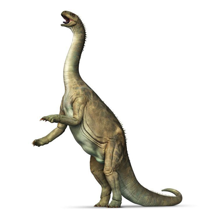 Isanosaurus Isanosaurus Sauropod Dinosaurs DK Find Out