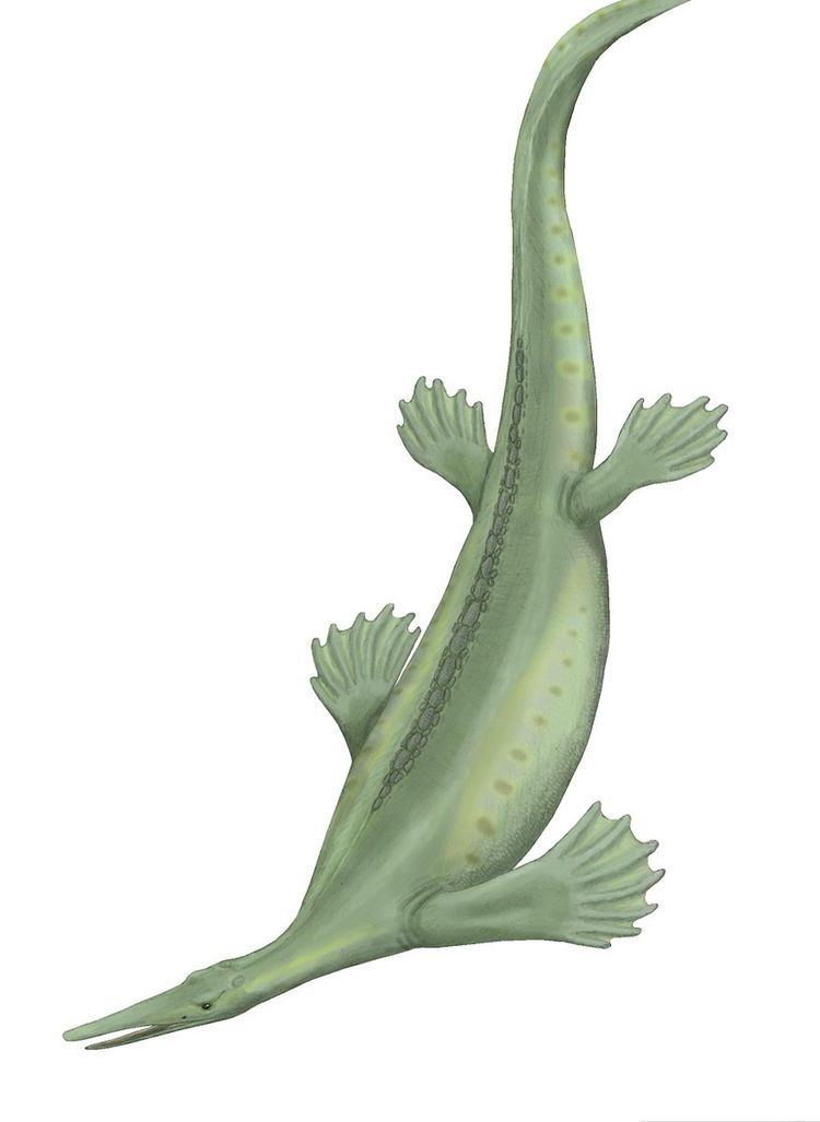 Isfjordosaurus