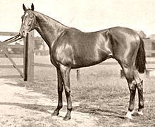 Isinglass (horse) httpsuploadwikimediaorgwikipediacommonsthu